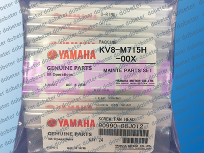 KV8-M715H-5XX-000-001-501-503 MAINTE PART SET 